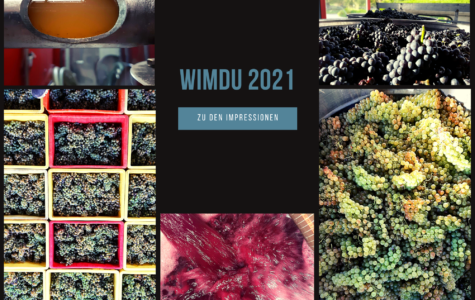 Wimdu 2021